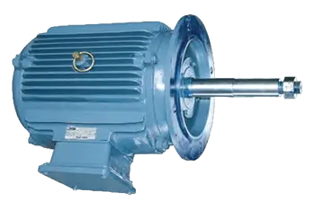 Buy single phase motors online