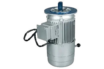 Two speed single winding motors manufacturers